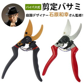 【期間限定⇒2480円 】剪定ばさみ せんていばさみ サクサク切れる 握りやすい 2段階調節可能 剪定鋏 フッ素コーティング 剪定鋏 えだきりばさみ DIY 工具 造園 庭師 庭木 家庭菜園 剪定用 枝切り 盆栽 果樹用 観葉植物 剪定用具 ガーデニング 園芸用品