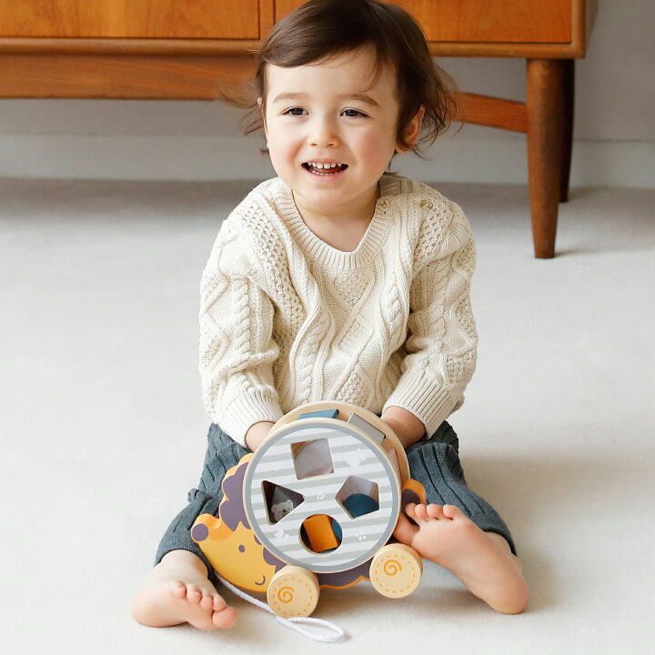 楽天市場 Polar B ポーラービー ソーティングプルトイ はりねずみ プレゼント ギフト 1歳 1歳半 2歳 ベビー 子ども キッズ 男の子 女の子 おもちゃ かわいい カラフル インテリア おうち時間 Dadway Ergobaby公式楽天市場店