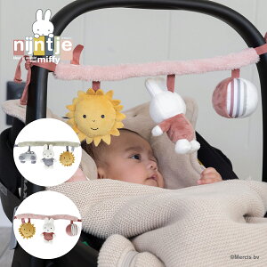 miffy ~btB[ nMOgC tbtB[ | v[g Mtg  u[ sN