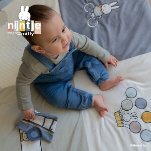 miffy ~btB[ vC}bg tbtB[ | v[g Mtg  u[ sN (WNG)