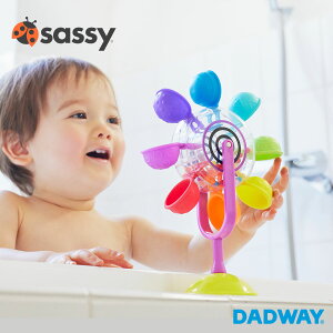 Sassy TbV[ C{[񂵂 | v[g Mtg  C V Jt ϗ