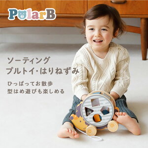 Polar B |[[r[ \[eBOvgCE͂˂ | 0 1 2 ؐ    m ^͂ pXe ݃J[ i` vg[C  j̎q ̎q 킢 Mt