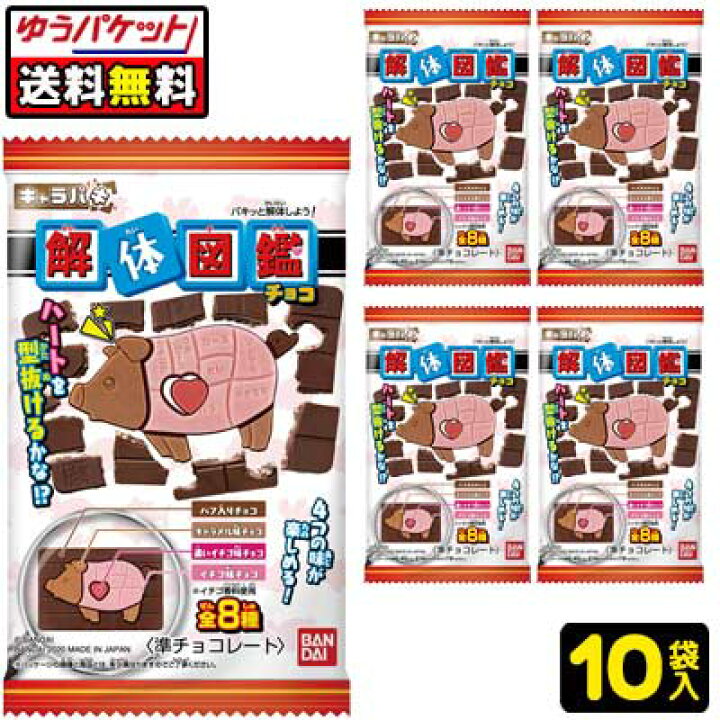 売れ筋がひ キャラパキ 解体図鑑チョコ １４入 駄菓子 子供会 景品 お祭り くじ引き 縁日 Atlantide1 Com