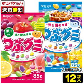 【ゆうパケット便】【送料無料】【春日井製菓】つぶグミ〈フルーツ味・ドリンク味〉12袋アソートセット