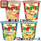 【送料無料】【選べる】【カルビー】じゃがりこ　12個×2ケース