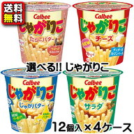 【送料無料】選べる カルビー じゃがりこ 12個×4ケース（計48個）セット｜サラダ チーズ じゃがバター …