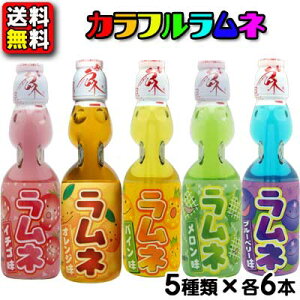 �y���������z�y�n�^�z��z5��̃J���t���t���[�c�r�����l 200ml�A�\�[�g30�{�Z�b�g�i5���×�e6�{���j�@�@�@�@�@�@�@�@�@�@�@�@�@�o���Ղ�@�čՂ�@�Î��@�C�x���g�@�h�����N�@�i�i�@�q��