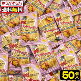 【ゆうパケット便】【送料無料】チビいかフライ（50個）　　　　　　　　　　｛駄菓子　だがし屋　おやつ　おつまみ　珍味　サラミ　ゆうパケット　メール便　送料無料｝