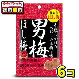 【ポスト投函・メール便】【全国送料無料】ノーベル製菓　男梅ほし梅20g（6個）