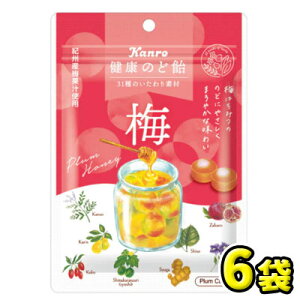【カンロ】健康のど飴 梅90g(6袋入)