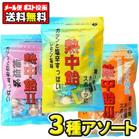 【ポスト投函・メール便】【全国送料無料】井関食品　熱中飴（レモン・梅・夏みかん）3種類アソート100g（各1袋セット 計3袋）