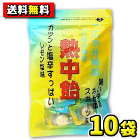 【送料無料】井関食品　熱中飴レモン塩味100g（10袋入）