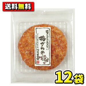 yz߂̗{܁@唻 ~߁i12ܓj