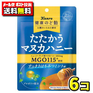 y|Xg[ցzyzJ@N̂ǈ }kJnj[݂͂~g80gi6܁j