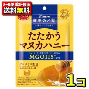 y|Xg[ցzyzJ@N̂ǈ}kJnj[80gi1܁j