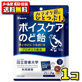【ポスト投函メール便】【送料無料】カンロ　ボイスケアのど飴70g（1袋）