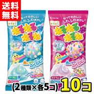 【送料無料】クラシエ　ねるねるねるね ソーダ味5袋・ぶどう味5袋（合計10袋）