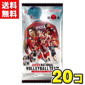 yzo_CLfB@JAPAN NATIONAL VOLLEYBALL TEAM cCEGn[X 2025i20ܓ)