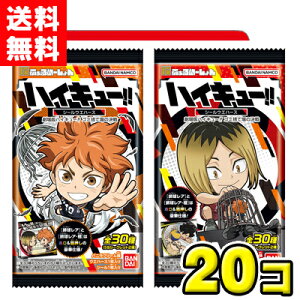 �y���������z�o���_�C�L�����f�B�@�ɂӂ���߁[����� ����Ńn�C�L���[!! �S�~�̂ď�̌��� �V�[���E�G�n�[�X�i20�ܓ�)