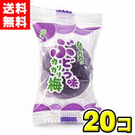 【送料無料】村岡食品 ムラオカのぶどう味 カリカリ梅 20個BOX 個包装 駄菓子 梅菓子 お菓子 まとめ買い …
