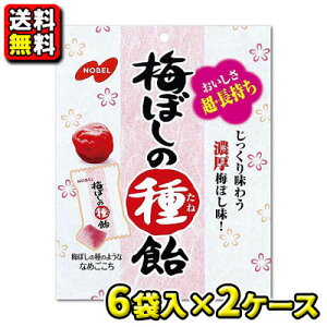 yzym[xفz30g ~ڂ̎툹i6ܓ×2P[Xj