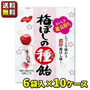 yzym[xفz30g ~ڂ̎툹i6ܓ×10P[Xj