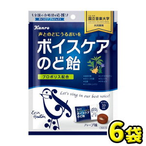 【カンロ】ボイスケアのど飴70g(6袋入)