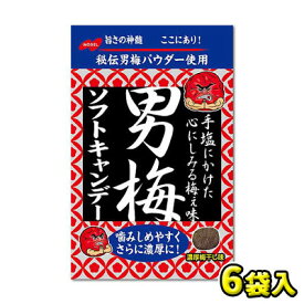 【ノーベル製菓】男梅ソフトキャンデー35g（6袋入）