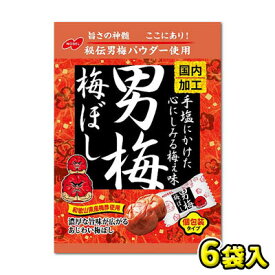 【ノーベル製菓】男梅 梅ぼし［調味梅干］52g（6袋入）