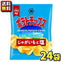 【送料無料】【湖池屋】［小袋サイズ］ポテトチップス じゃがいもと塩27g（24袋入×1ケース）