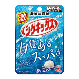【UHA味覚糖】激シゲキックス 極刺激ソーダ 20g（10袋入）