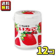 【送料無料】【丸川製菓】いちごマーブルガムボトル 130g ×（12個入）