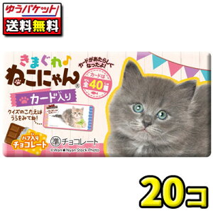 y䂤pPbgE[ցzySzyhfVBz܂˂ɂ`R[g@20