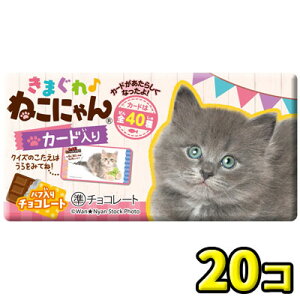 yhfVBz܂˂ɂ`R[gi20j