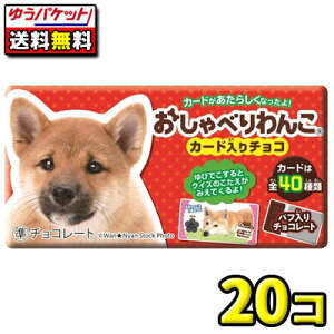 y䂤pPbgE[ցzySzyhfVBzׂ񂱃`R[g@20