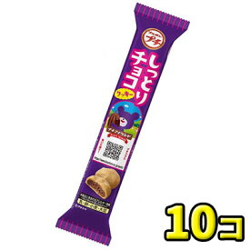 【ブルボン】プチ しっとりチョコクッキー 51g（10袋入）