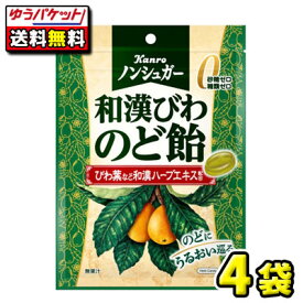 【ゆうパケットメール便・送料無料】ノンシュガー和漢びわのど飴80g　4袋