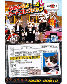 楽天市場 なめんなよカードコレクションの通販