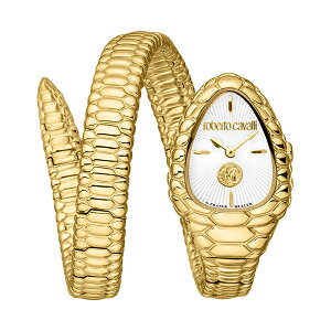 y10OFFN[|pŁzroberto cavalli by FRANCK MULLER xg J@ oC tN ~[ RV1L187M0031 fB[X rv Ki 