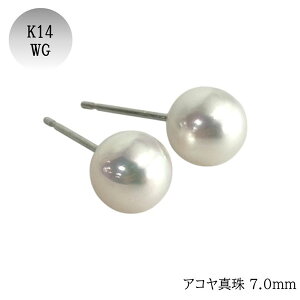 14 p[sAX 7.0 AR^ ꗱ  X^bhsAX K14 Vv  w Ǝ  zCgS[h Mtg v[g 