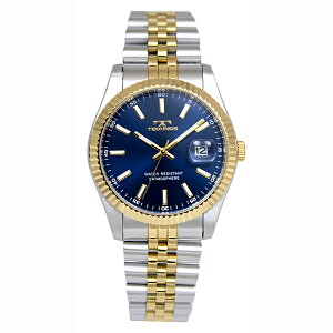 TECHNOS �e�N�m�X T6C10TN �����Y �r���v �������K�i ��������
