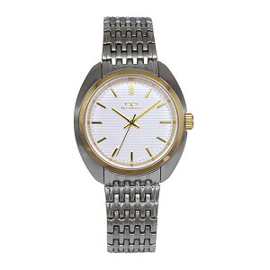 TECHNOS �e�N�m�X T6C41GS �����Y �r���v �������K�i ��������