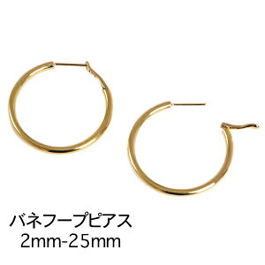 y10OFFN[|pŁzi2-25j 傫 t|vsAX 18k VvsAX CG[S[h lC  fB[X 18