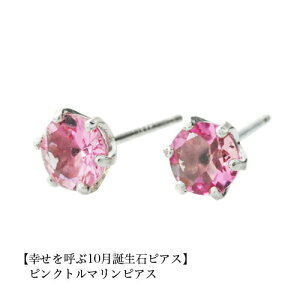 y10OFFN[|pŁzipebirthday10ja sAX sNg}sAX PT900 X^bhsAX 10 fB[X Y  j v[g ꗱ sAX 4mm Vv v`i