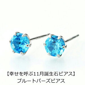 y10OFFN[|pŁzipebirthday11ja sAX u[gp[YsAX PT900 X^bhsAX 11 fB[X Y  j v[g ꗱ sAX 4mm Vv v`i