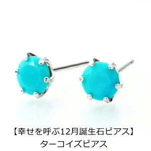 ipebirthday12ja sAX ^[RCYsAX PT900 X^bhsAX 12 fB[X Y  j v[g ꗱ sAX 4mm Vv v`i sX ҂