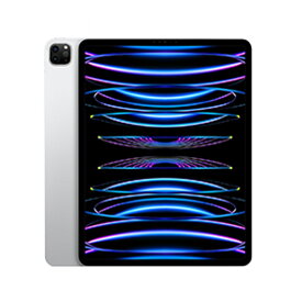 【未使用品〜中古品】Apple iPad Pro 11インチ 第4世代 128GB/256GB/512GB/1TB/2TB Wi-Fi 本体 最大1年間保証【スマホとタブレット販売のダイワン】