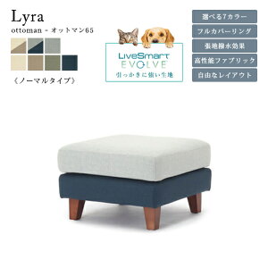 yzybgΉn Lyra C Ibg}65 Xc[ u \t@ nJ[7F ɋ tJo[O JE` ؋r t@ubN  c[g RȃCAE