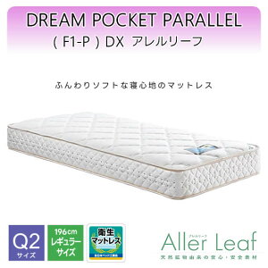 yzh[|Pbg p(F1-P) DX sQ2 NC[2tA[t }bgX M[TCY h[xbh dreambed Q |PbgRC Sf i q lC h[