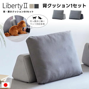 yzY oeB2 Liberty2 wNbV1Zbg wEuNbV \t@pNbV ybgΉn Iׂ2J[ CgO[ _[NO[ Jo[O t@ubN w